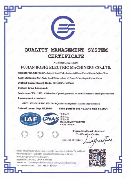 China FUJIAN BOBIG ELECTRIC MACHINERY CO.,LTD zertifizierungen